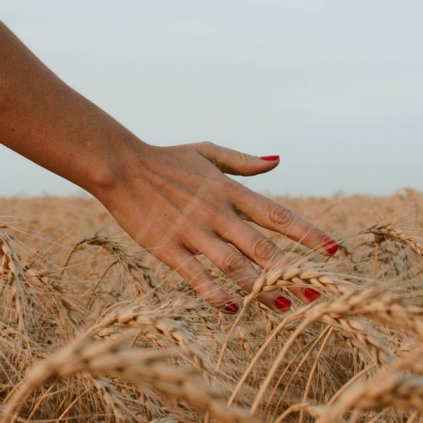 Lughnasadh Ways to Celebrate