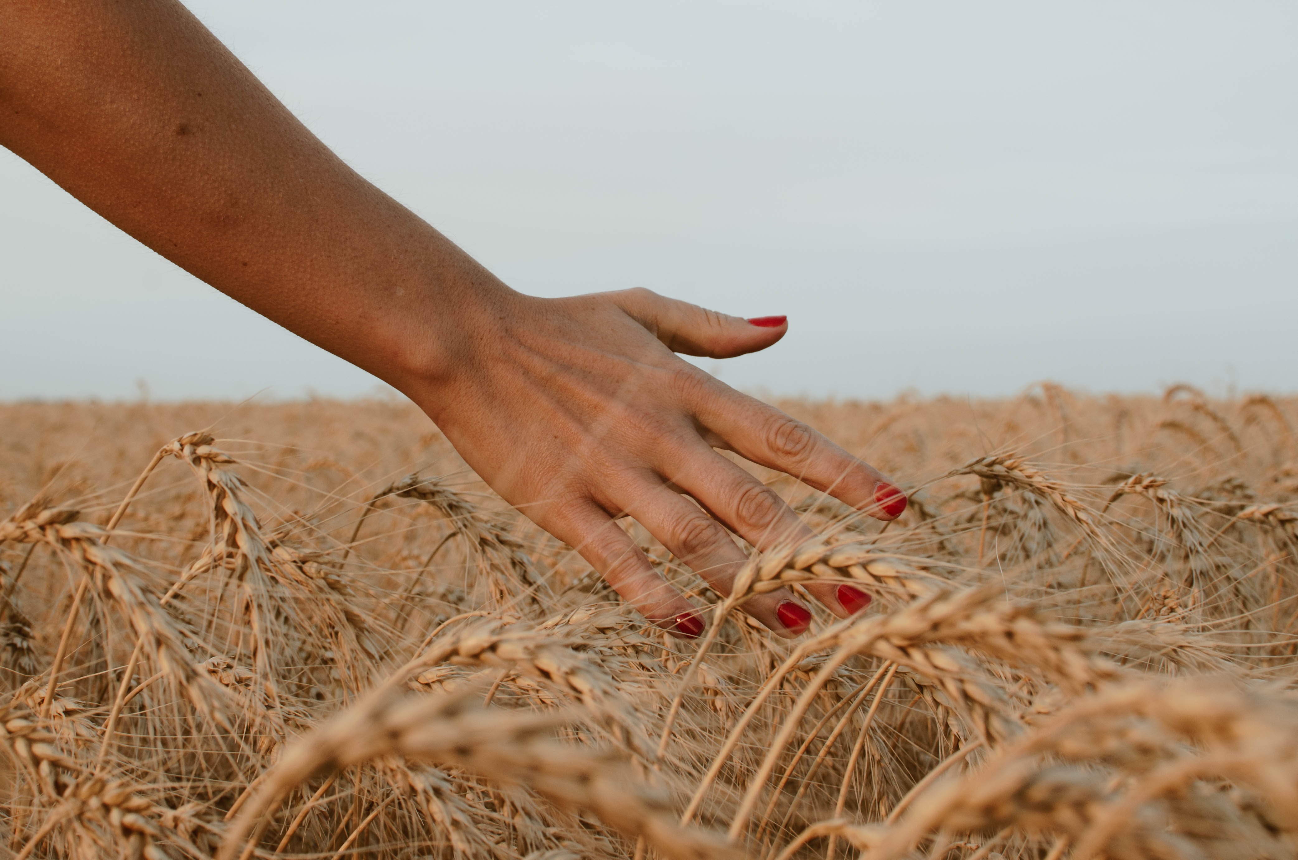 Lughnasadh Ways to Celebrate