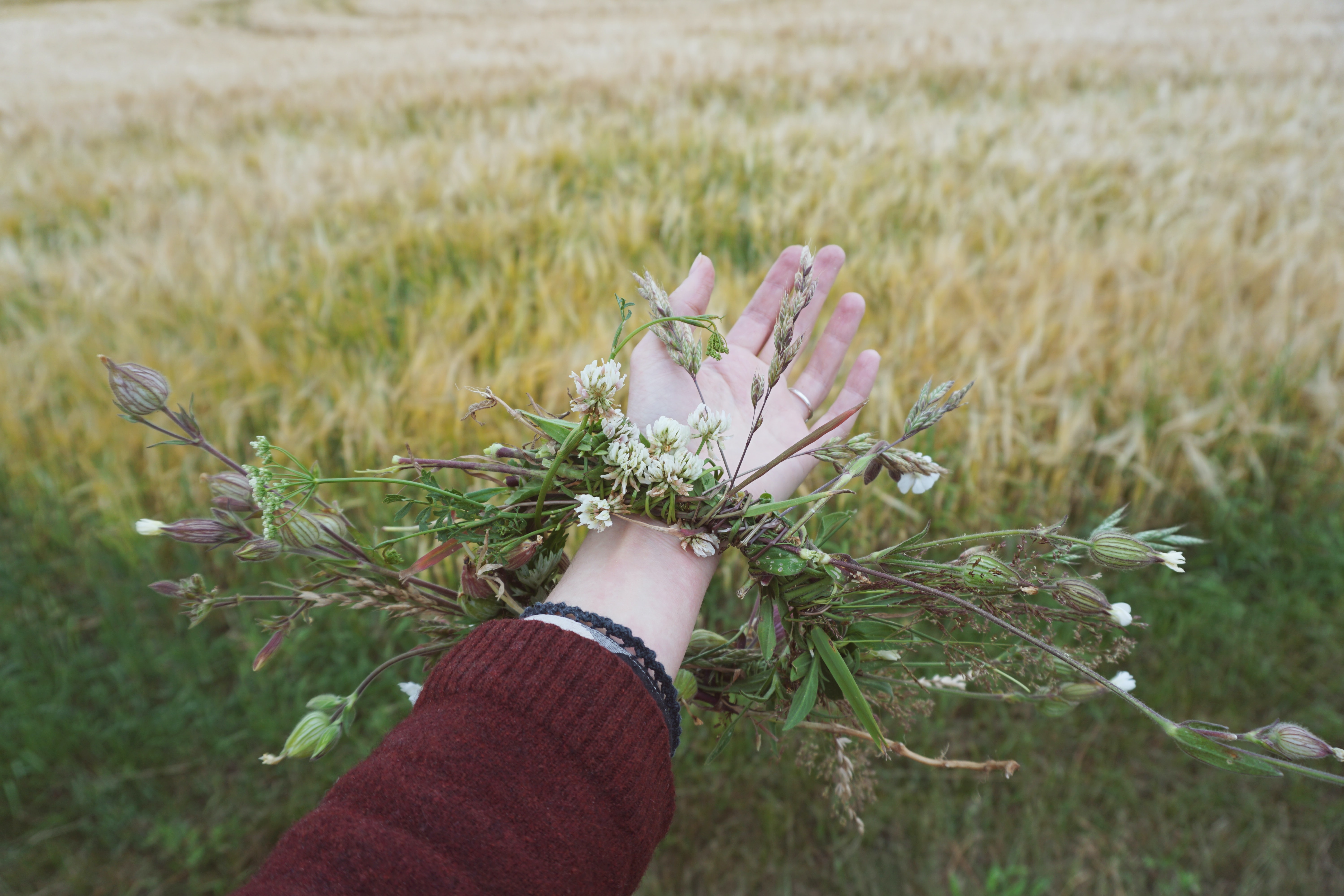 What holidays do Norse pagans celebrate