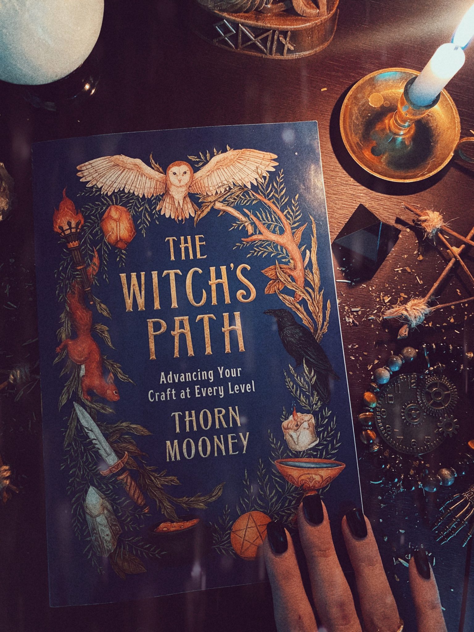 Book Review: The Witch's Path by Thorn Mooney - Mage By Moonlight