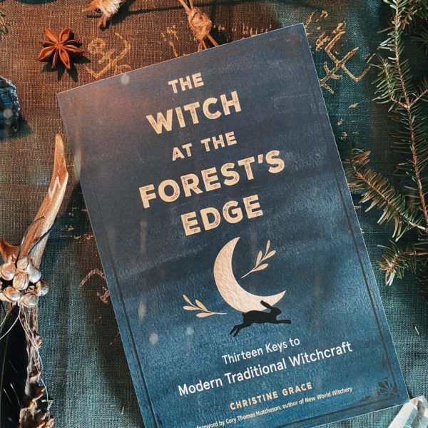 The Witch at the Forests Edge Book Review