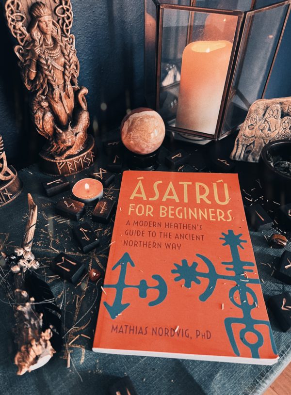 Book Review: Ásatrú for Beginners by Dr. Mathias Nordvig⁣