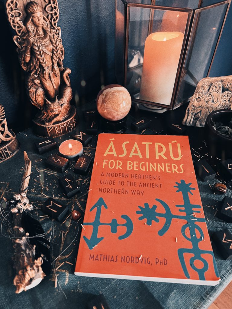 Book Review: Ásatrú for Beginners by Dr. Mathias Nordvig⁣ 