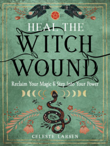 Heal the Witch Wound Book