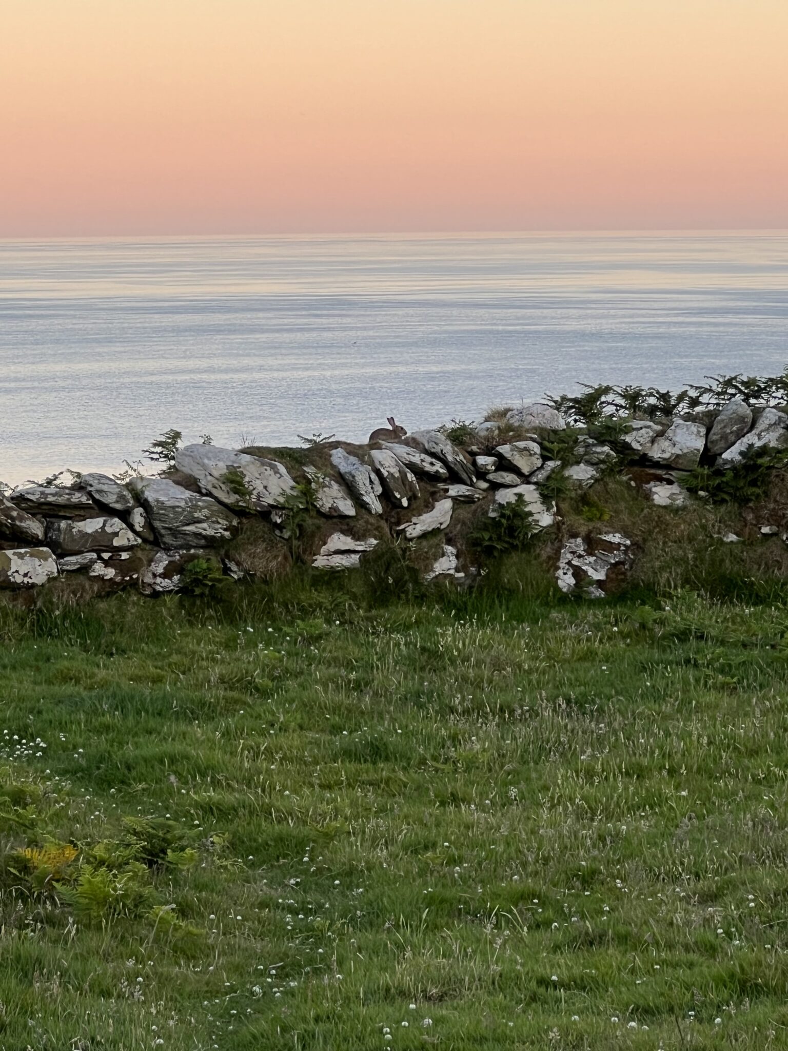 Meeting An Cailleach On The Beara Peninsula Mage By Moonlight   IMG 5474 1536x2048 