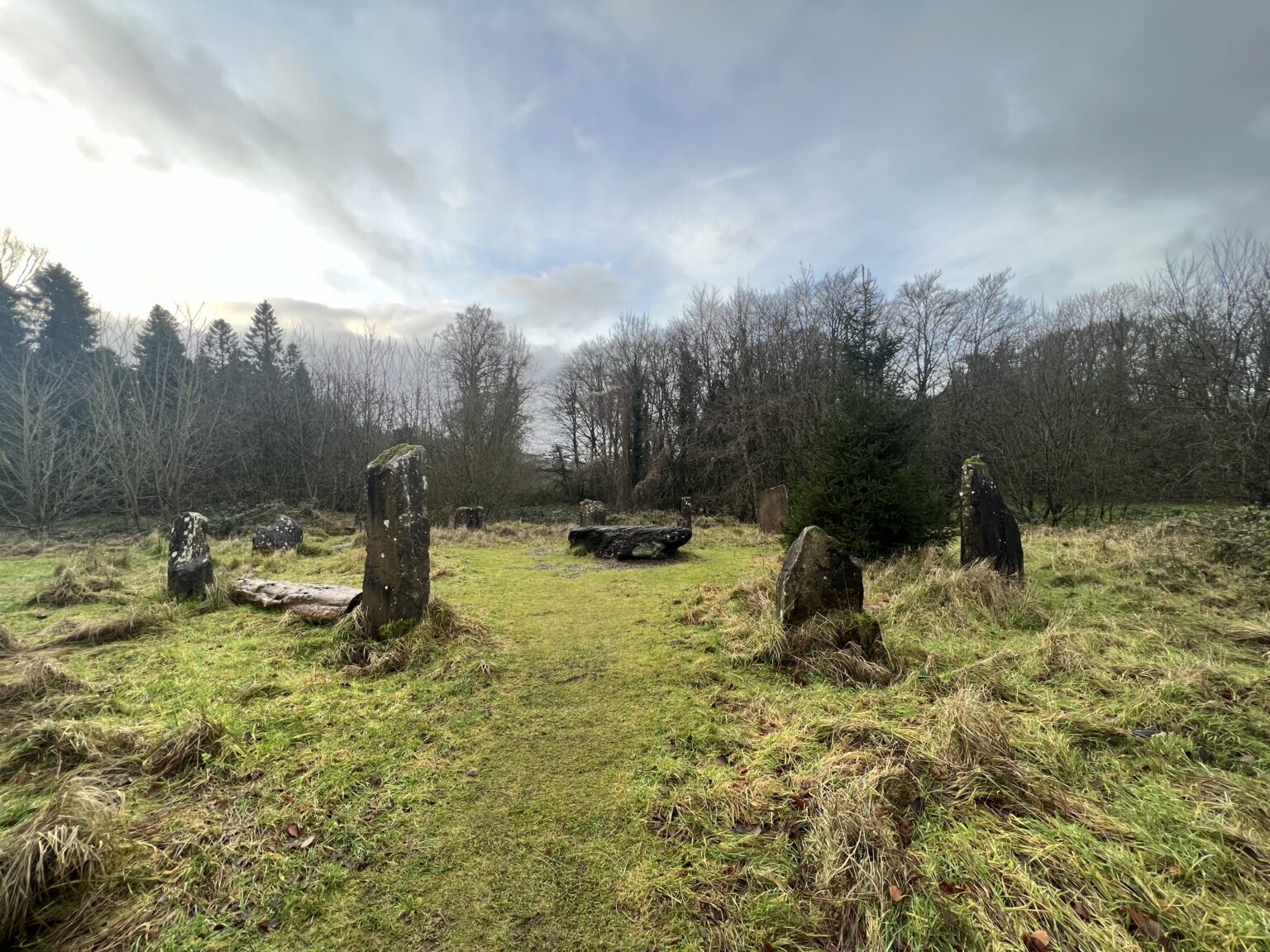 Witchcraft Retreat in Ireland Samhain 2024 Mage By Moonlight